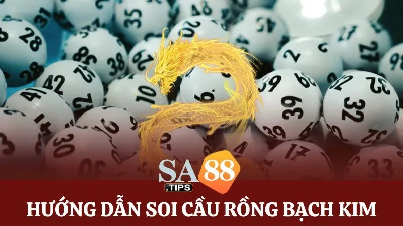 Chi tiết 5 bước soi cầu Rồng Bạch Kim cơ bản.