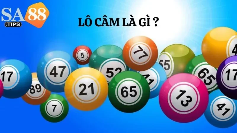 Giải thích cho lô thủ mới về lô câm là gì