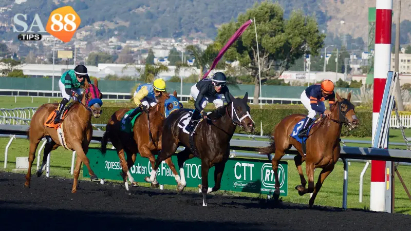 Tận hưởng những trận Đua ngựa đỉnh cao với kèo cực hot