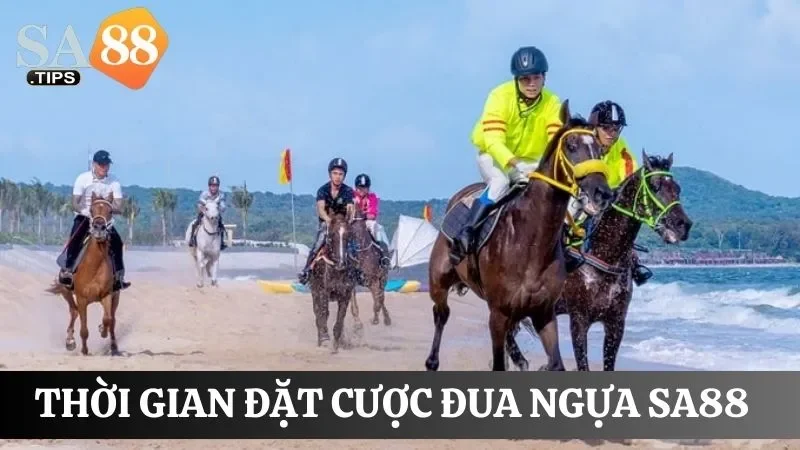 Quy định về vé cược đua ngựa online hợp lệ